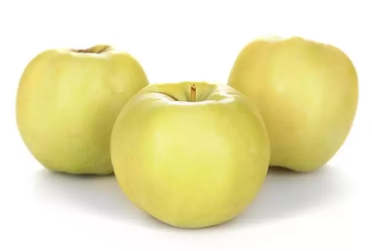 Apples used to treat varicose veins