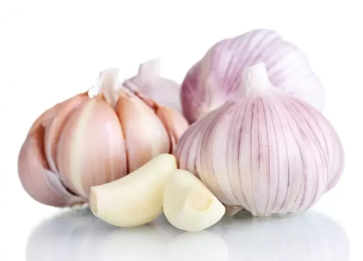 Garlic used to treat varicose veins of the legs