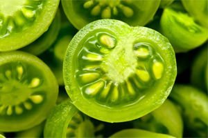 Treatment of varicose veins green tomatoes